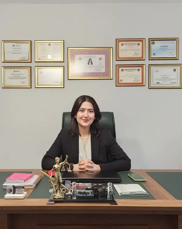 Av. Nafiye Ulusoy - Faaliyet alanları